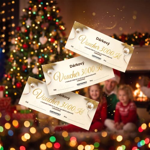 Vánoční dárkový voucher s nákupní hodnotou 3 000 Kč