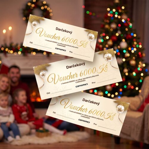Vánoční dárkový voucher s nákupní hodnotou 6 000 Kč
